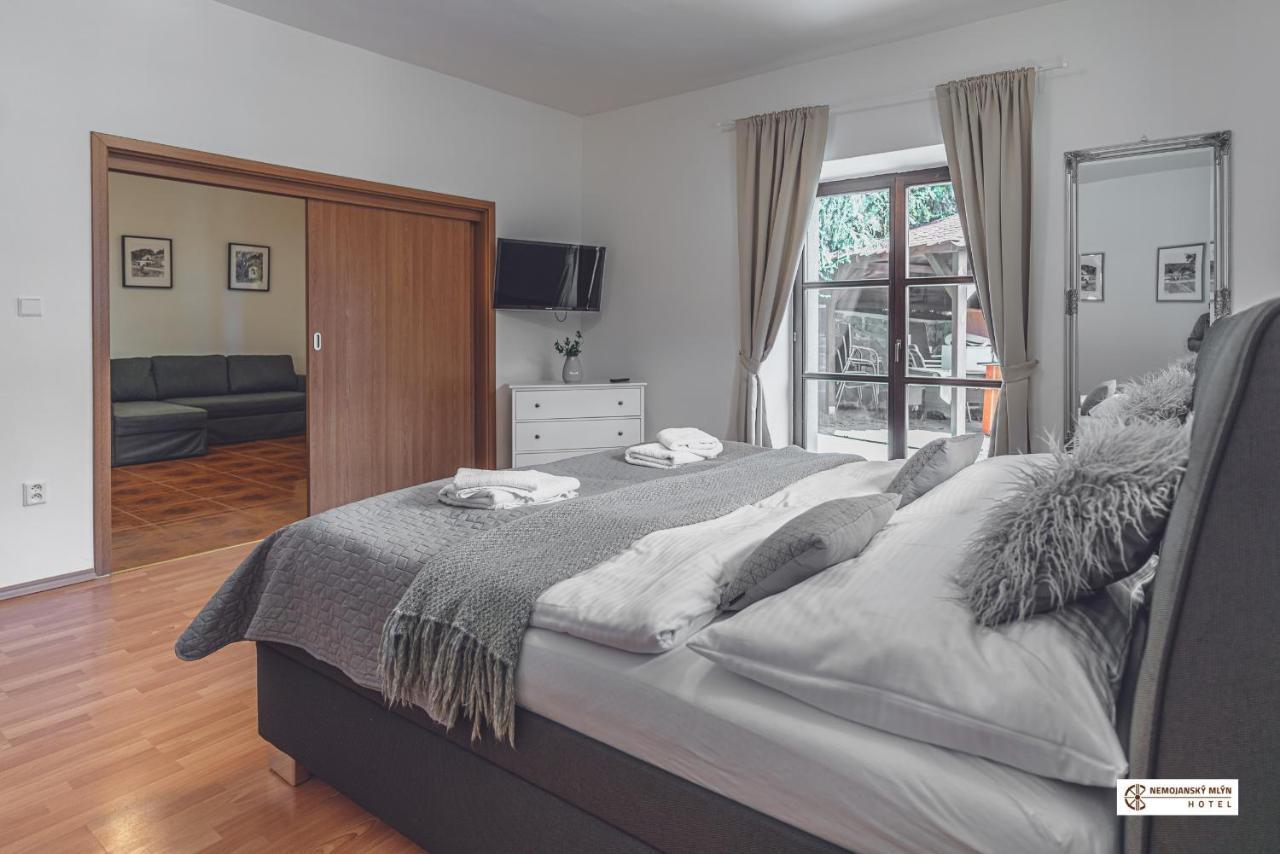 Hotel Nemojansky Mlyn Nemojany Bagian luar foto